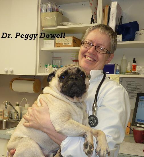 Dr. Peggy Dowell Veterinarian and Owner with Pug