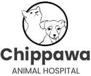 Chippawa Animal Hospital